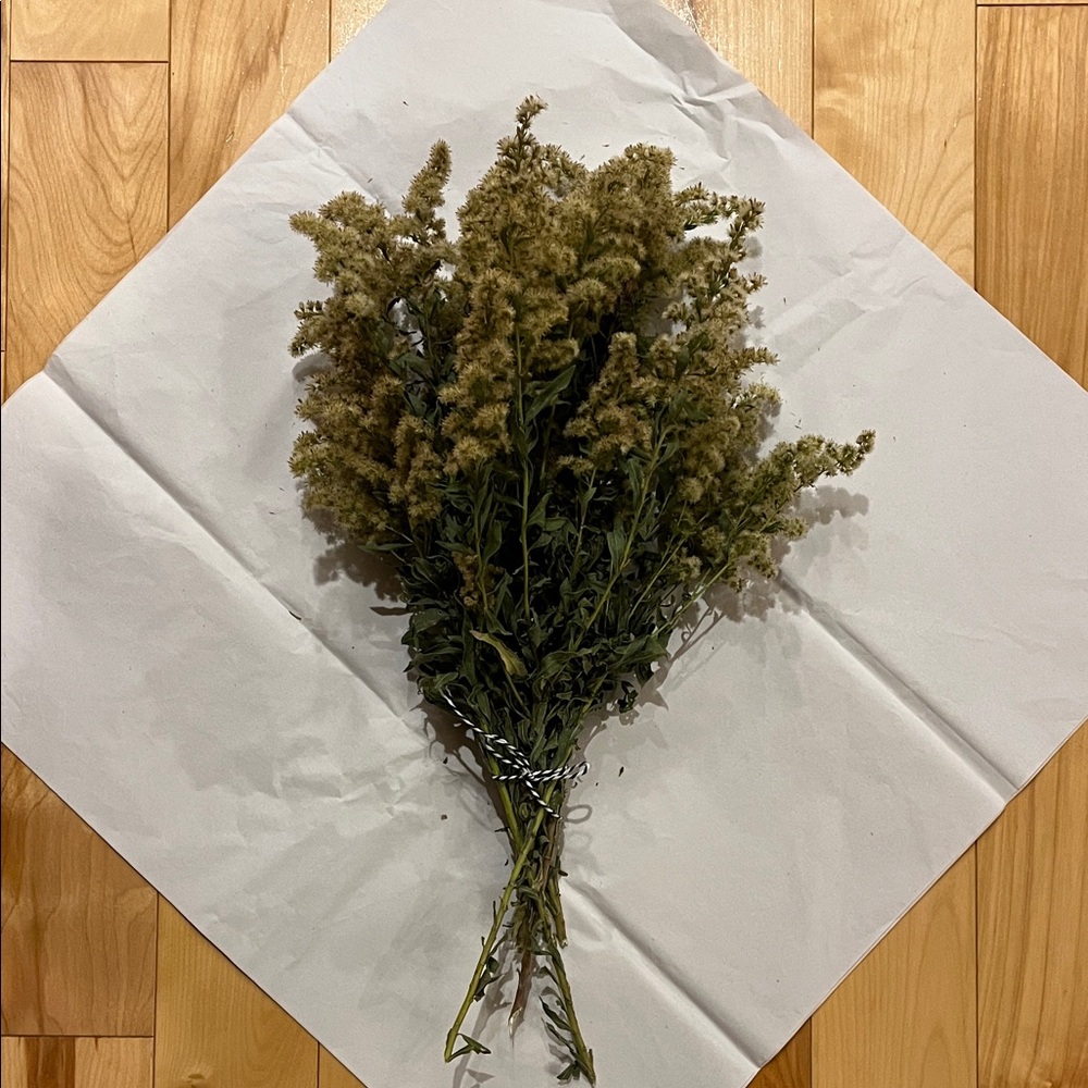 Natural Dried Goldenrod Bouquet - Green and Yellow Brown